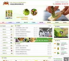 大连网站建设与设计服务全解析 新图闻科技如何助力企业数字化转型